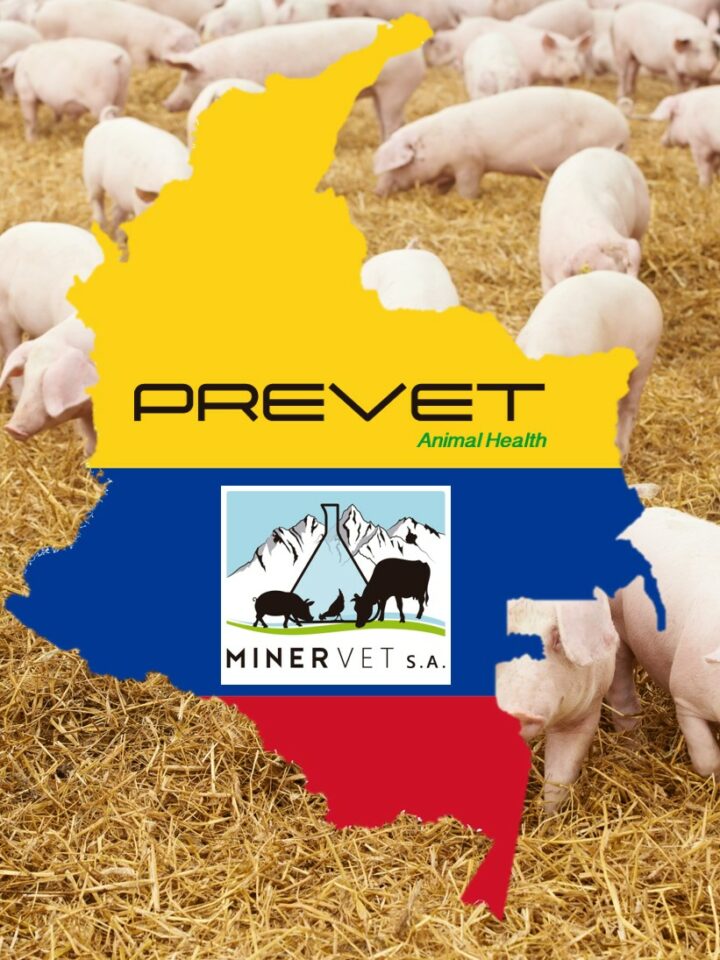 Minervet S.A. starts the commercialization of Minermold in Colombia and gets ready for the arrival of Aisen Plus